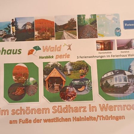 Ferienhaus Waldperle Harzblick Wernrode Exteriör bild