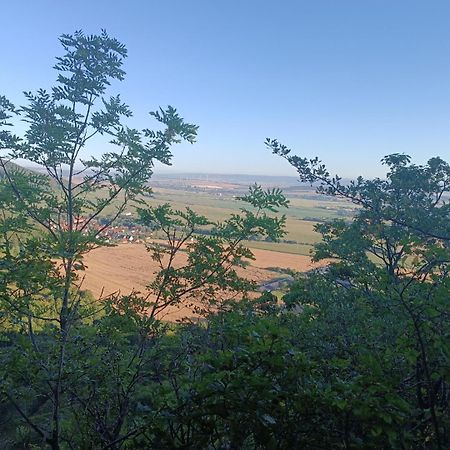 Ferienhaus Waldperle Harzblick Wernrode Exteriör bild