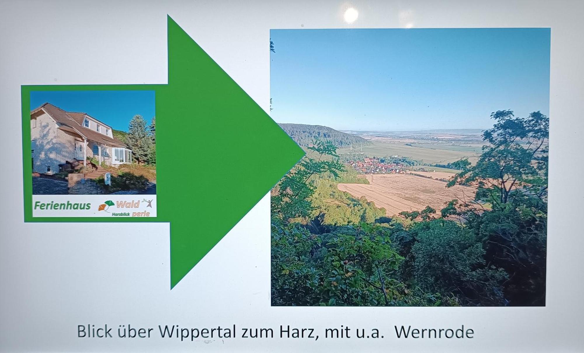 Ferienhaus Waldperle Harzblick Wernrode Exteriör bild