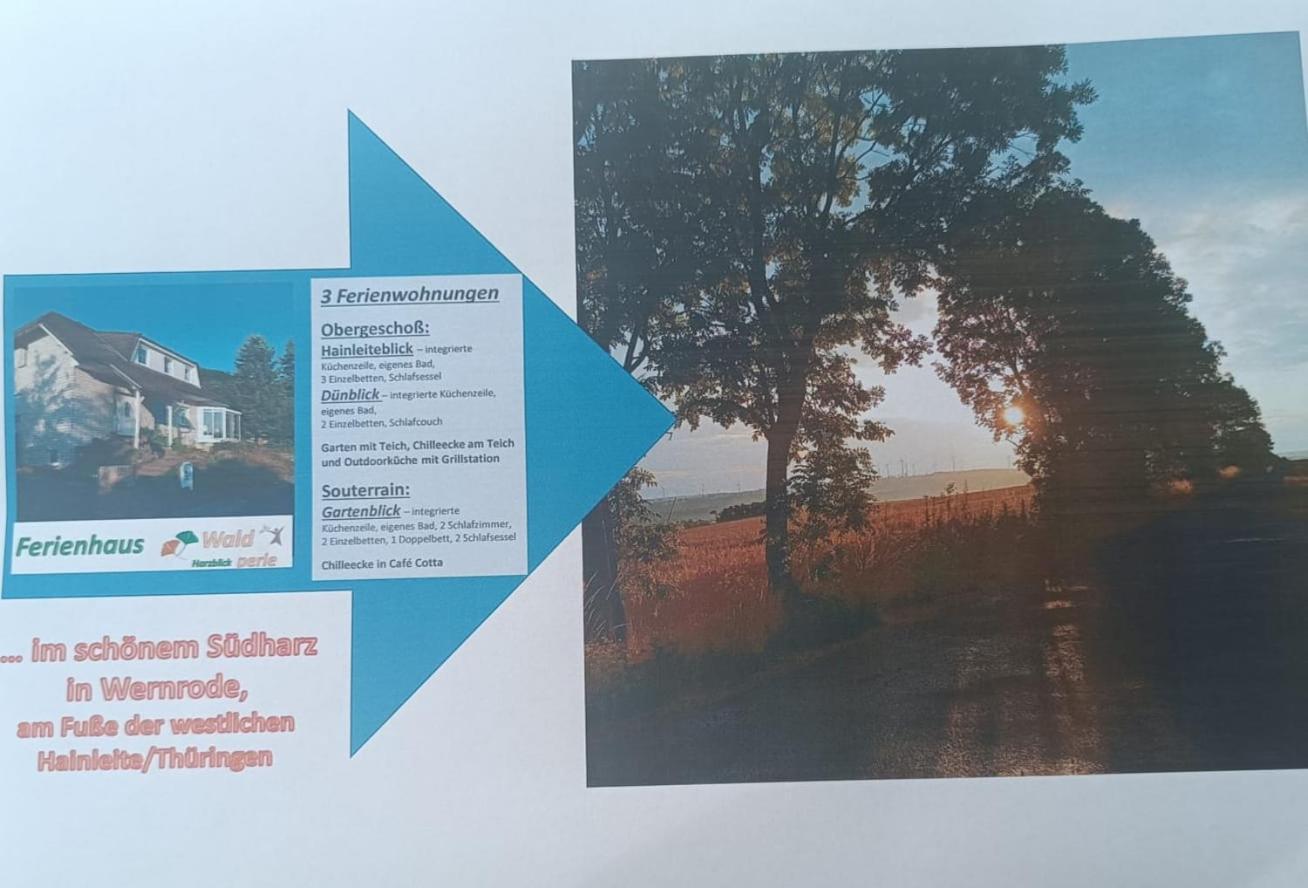Ferienhaus Waldperle Harzblick Wernrode Exteriör bild